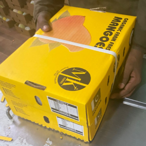 Untitled design - 2025-07-25T171504.793