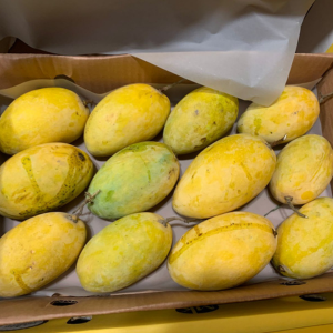 Untitled design - 2025-07-25T171537.891