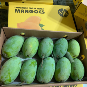 Untitled design - 2025-07-25T171615.902